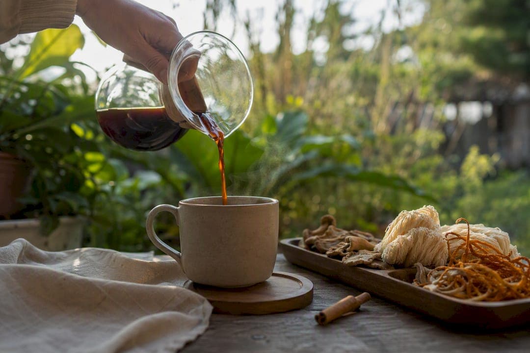 Café con hongos beneficios: qué dice realmente la ciencia
